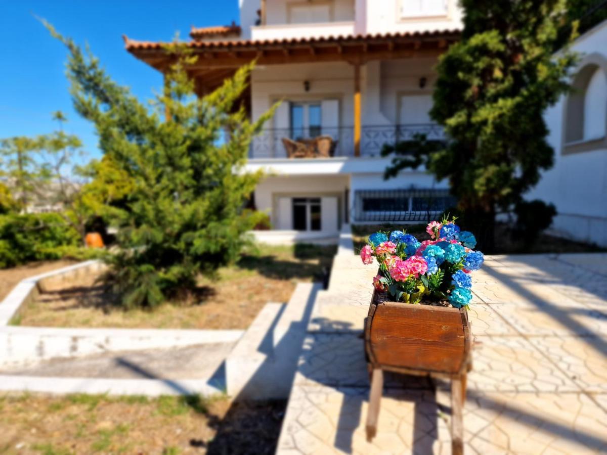 Villa Liana : Luxury Villa With Fantastic Sea View, Near Airport Pórto Ráfti Buitenkant foto