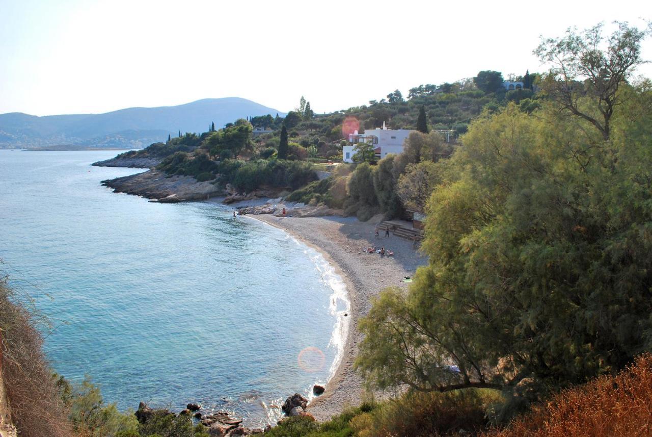Villa Liana : Luxury Villa With Fantastic Sea View, Near Airport Pórto Ráfti Buitenkant foto