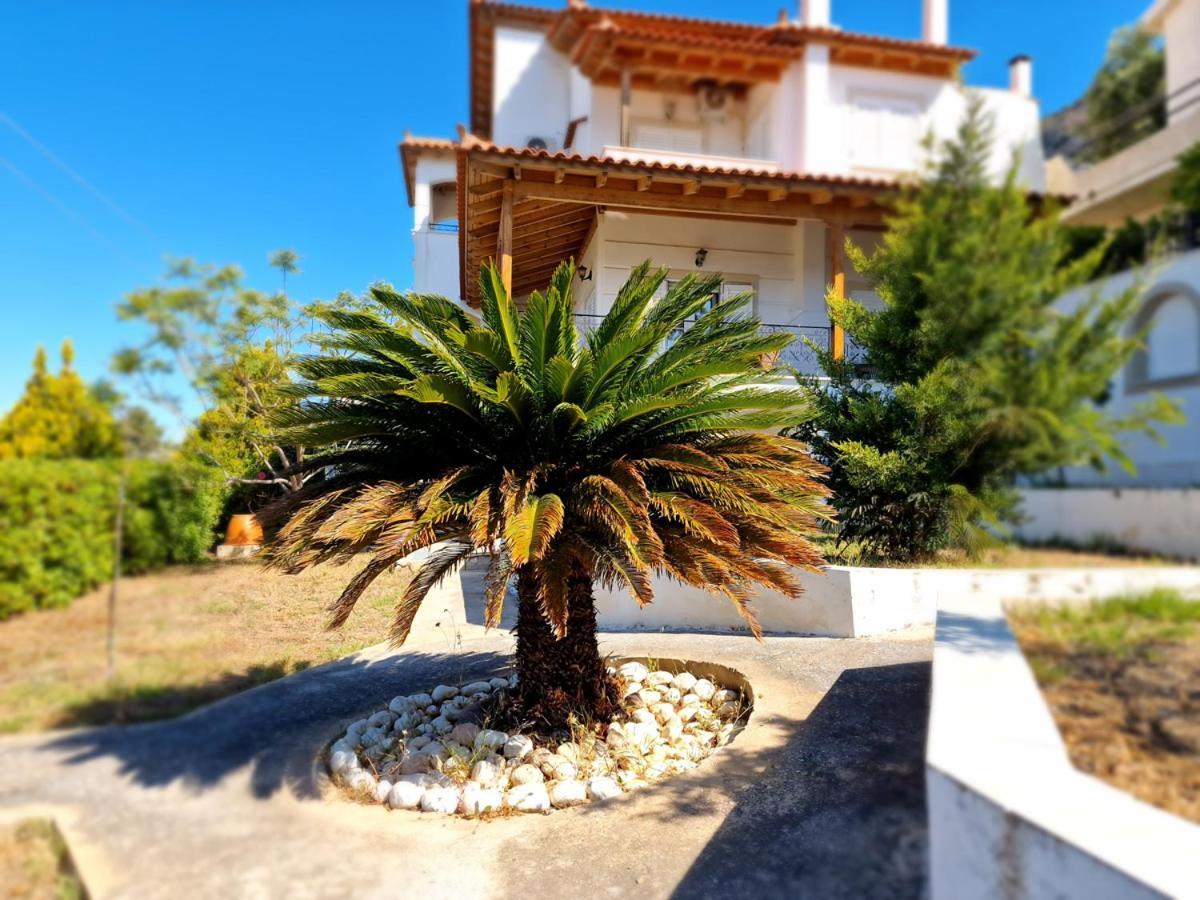 Villa Liana : Luxury Villa With Fantastic Sea View, Near Airport Pórto Ráfti Buitenkant foto